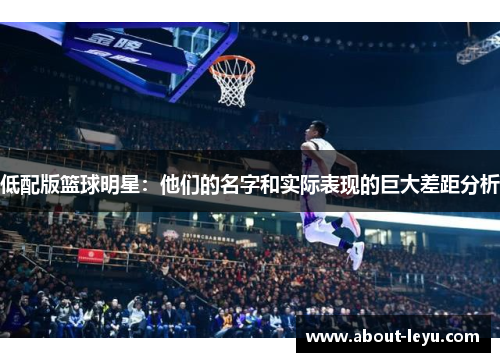 低配版篮球明星：他们的名字和实际表现的巨大差距分析