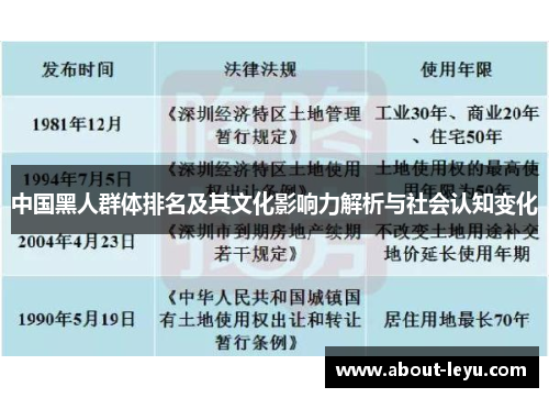 中国黑人群体排名及其文化影响力解析与社会认知变化