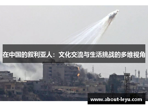 在中国的叙利亚人：文化交流与生活挑战的多维视角
