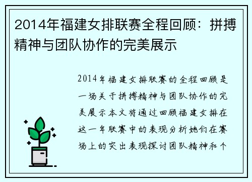 2014年福建女排联赛全程回顾：拼搏精神与团队协作的完美展示